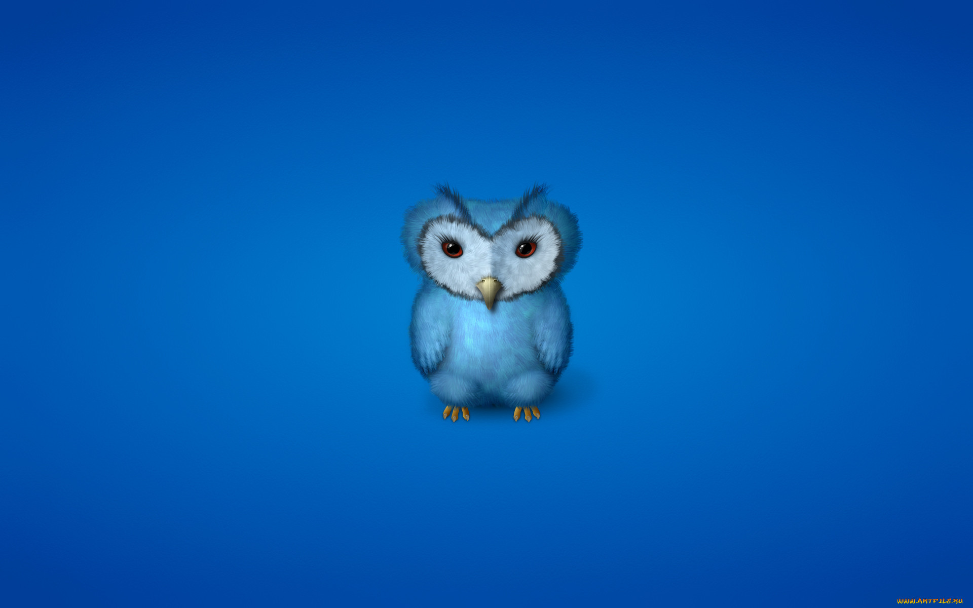 , , , , owl, , , 